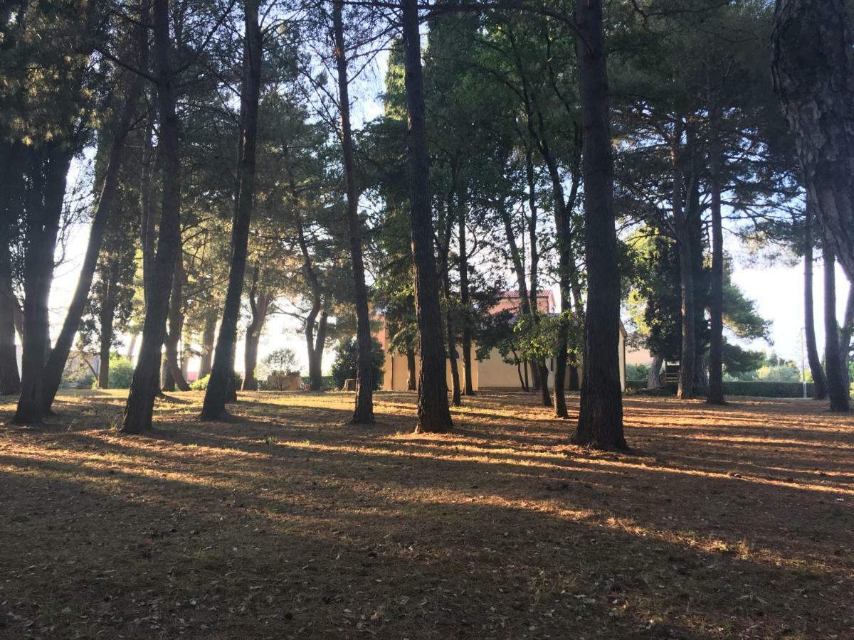 Pribetic Apartments Poreč Eksteriør billede